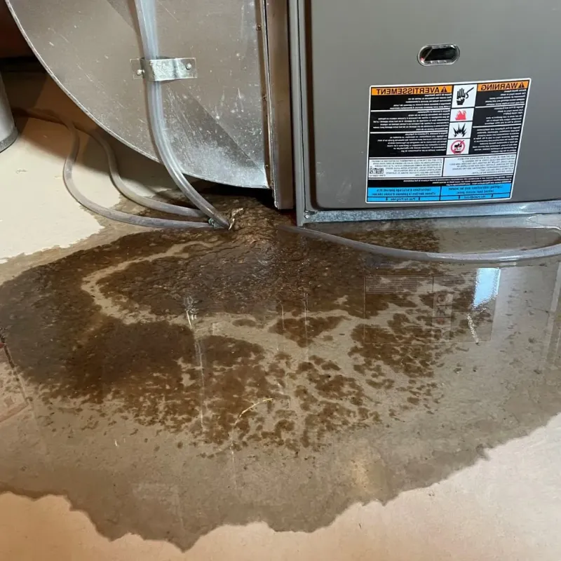 Pipe Burst and Leak Restoration in Homer City, PA