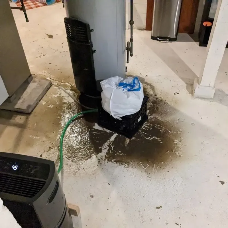 Sewage Backup Cleanup Service in Homer City, PA